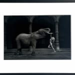 Marc Lagrange, Tsarina VIII, 2007