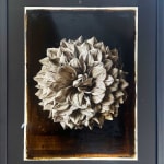 Jan C. Schlegel, Plate #7, 2025