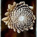 Jan C. Schlegel, Plate #7, 2025