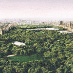 David Drebin, Dreams of Central Park, Diamond Dust, 2020