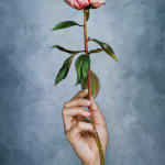 Vee Speers, Flower, 2023