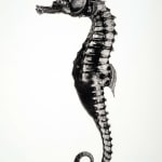 Jan C. Schlegel, Snake 6, 2020
