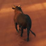 Dean West, Palm Springs #1, 2015