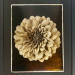 Jan C. Schlegel, Plate #7, 2025
