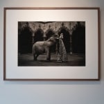 Marc Lagrange, The Elephant in the Room, Handelsbeurs, Antwerp, 2014