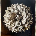 Jan C. Schlegel, Plate #7, 2025