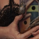 Roberta Diazzi, Thinking About You