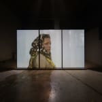 Pauline Boudry / Renate Lorenz, Charming for the Revolution, 2009