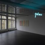 Anne-lise Coste, Not titled, 2007