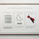 Falke Pisano, The Body in Crisis (Housing, Treating and Depicting), Installation Version, 2012