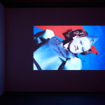 Pauline Curnier Jardin, Teetorum