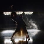 Pauline Boudry / Renate Lorenz, Charming for the Revolution, 2009
