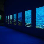 Julianknxx, Chorus in Rememory of Flight, 2023