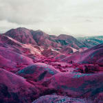 Richard Mosse, Nowhere to Run, South Kivu, Eastern Congo, 2010