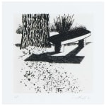 Andrew Southall, Black and White of Brick and Bark IV