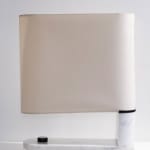 Claudia Rankin, Lion Head Plate