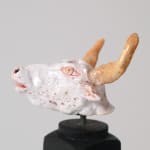 Amata Benedict, Kali Divine