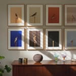 Thumbnail of additional image