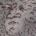 Lâl Yılmaz, Within, Without