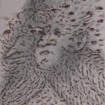 Lâl Yılmaz, Within, Without