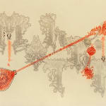 Lecia Wilson, Crowned