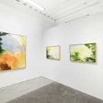 Janet Jacobs, Through Light, 2019