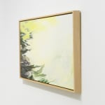 Janet Jacobs, Through Light, 2019