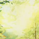 Janet Jacobs, Through Light, 2019