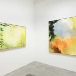 Janet Jacobs, Through Light, 2019