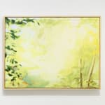 Janet Jacobs, Through Light, 2019