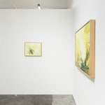 Janet Jacobs, Through Light, 2019