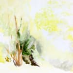 Janet Jacobs, Through Light, 2019