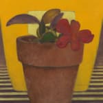Daeyou Kim, Tomatoes, 2023