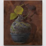 Daeyou Kim, Tomatoes, 2023