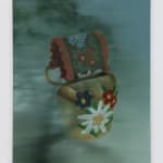 Daeyou Kim, Nurturing the nature: from Brazil, 2025