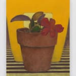 Daeyou Kim, Tomatoes, 2023