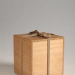Fukami Sueharu, Enbō no kei: Sō (View of Distant Hope: Thought), 1993