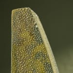 Eunsol Kim, 'Condensation' Series C1, Glazed Ceramic Sculpture in Green, The Netherlands, 2025