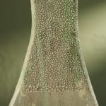 Eunsol Kim, 'Condensation' Series C1, Glazed Ceramic Sculpture in Green, The Netherlands, 2025