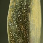 Eunsol Kim, 'Condensation' Series C1, Glazed Ceramic Sculpture in Green, The Netherlands, 2025