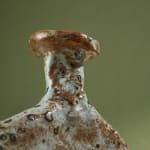 Eunsol Kim, 'Window' Series, Set of Three Glazed Ceramic Sculptures in Black and Blue, The Netherlands, 2025