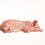 劉小東 LIU Xiaodong, 「豬系列」整套, 2009