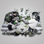 Thumbnail of additional image