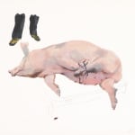 劉小東 LIU Xiaodong, 「豬系列」整套, 2009