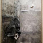 林延 LIN Yan, 露水 Dew, 2015