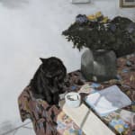 Thumbnail of additional image