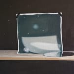 Catalina Torres, La naturaleza del tiempo, 2013