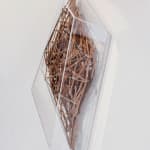 Virginia Guilisasti, Fui, Soy, Seré (I was, I am, I will be), 2018