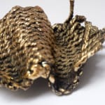Fernanda Gutiérrez, Prototipo (Prototype), 2012
