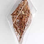 Virginia Guilisasti, Fui, Soy, Seré (I was, I am, I will be), 2018